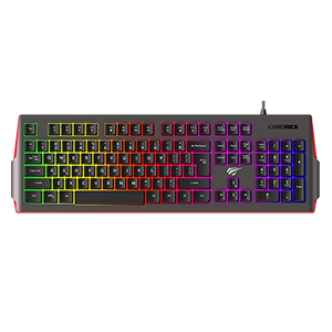 HAVIT GAMENOTE KB866L GAMING KEYBOARD