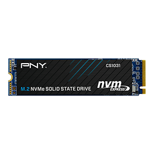 PNY 256GB NVMe